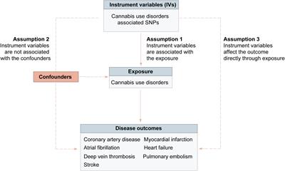 Association of cannabis use disorder with cardiovascular diseases: A two-sample Mendelian randomization study